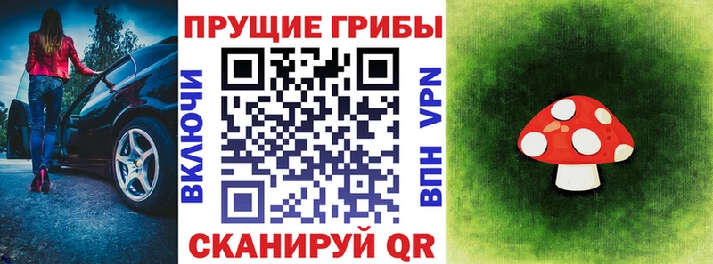 blacksprut ССЫЛКА  Любим  Псилоцибиновые грибы ЛСД 